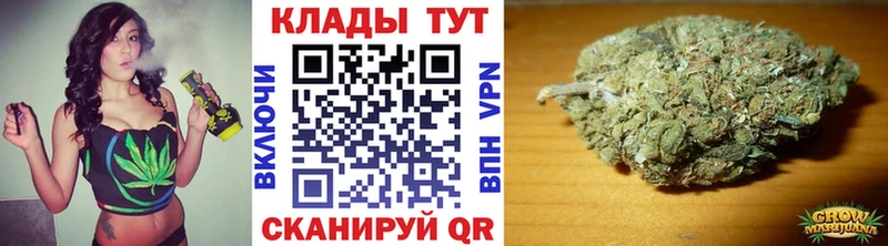 Где купить Удачный Псилоцибиновые грибы МЕТАДОН Конопля блэк спрут маркетплейс ГАШ АМФЕТАМИН