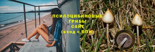 не бодяженный Козельск