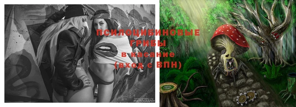 PSILOCYBIN Красноперекопск